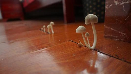 潮濕的地下室對人體有哪些危害？